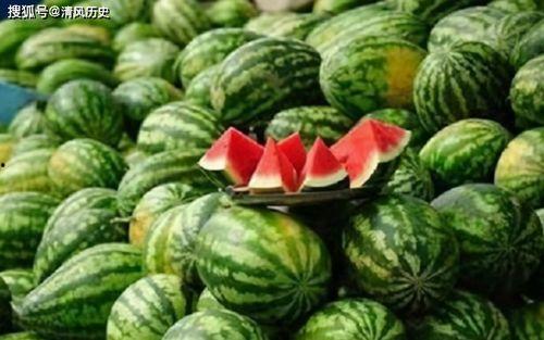 吃瓜网是什么网都能看吗,畅游全网，尽享无限精彩