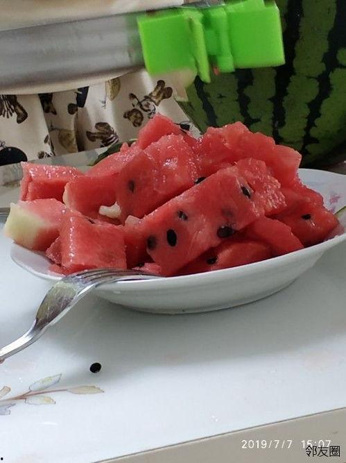 网红吃瓜神器新款,揭秘吃瓜神器新款，带你领略美食新境界！”