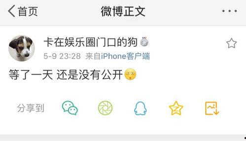 爆料吃瓜谈恋爱,吃瓜群众见证明星甜蜜恋情